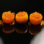Ikura Kumquat