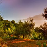 Don-Alfonso-Organic-Farm_Italy