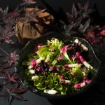 DNA-Mixed Vegetables Salad
