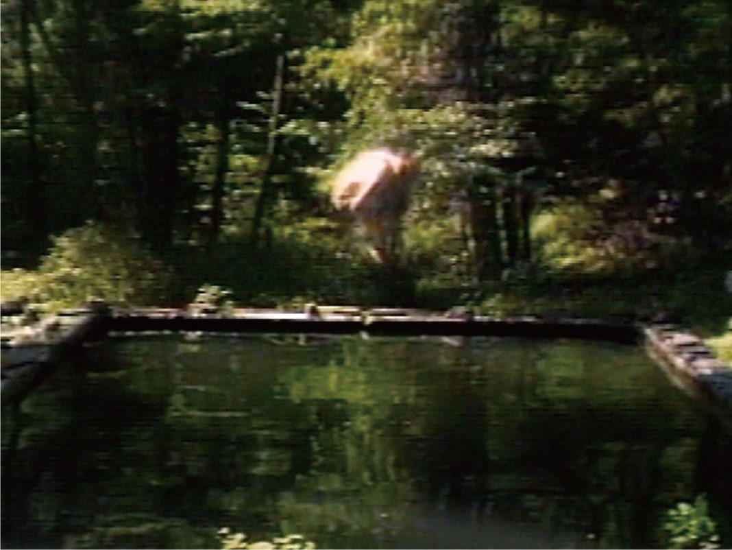 The Reflecting Pool - Bill Viola, 1977