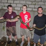 103_27_Burmese Python 蟒蛇 j