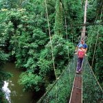 15 雨林徒步和洗肺之旅