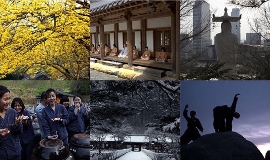 走出大湾区：年底去韩国体验寺院生活 | Delta Escape: Enjoy Templestay Year-End Getaway in South Korea