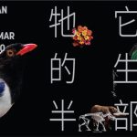 展览信息：“牠它他的生态半部曲” | “Ecology in the Making” Hong Kong’s First Historical Exhibition on Amateur Naturalists
