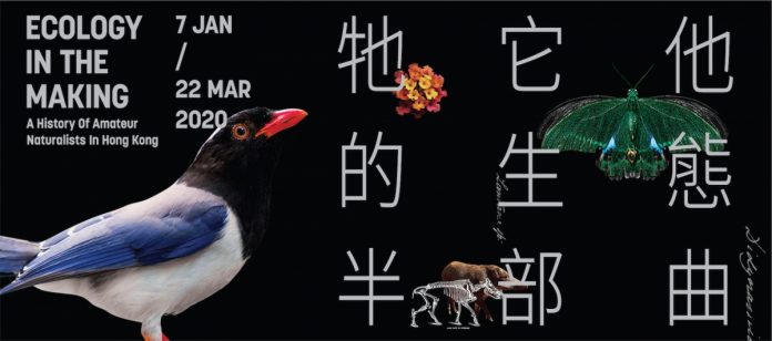 展览信息：“牠它他的生态半部曲” | “Ecology in the Making” Hong Kong’s First Historical Exhibition on Amateur Naturalists