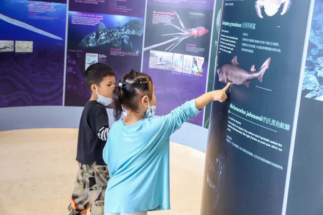儿童观众参观海洋主题展览 | Children visit the ocean theme exhibition